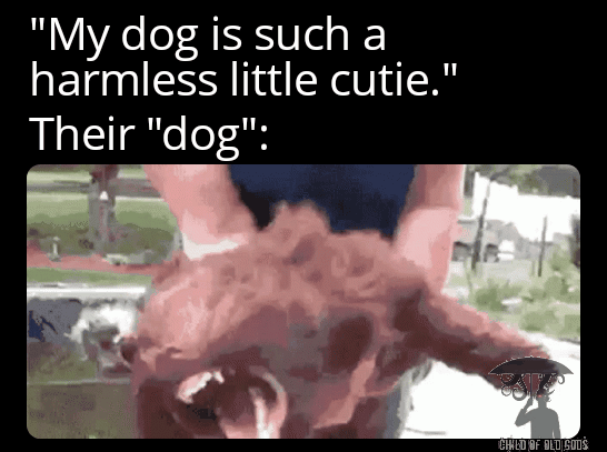 My dog is such a harmless little cutie Their dog