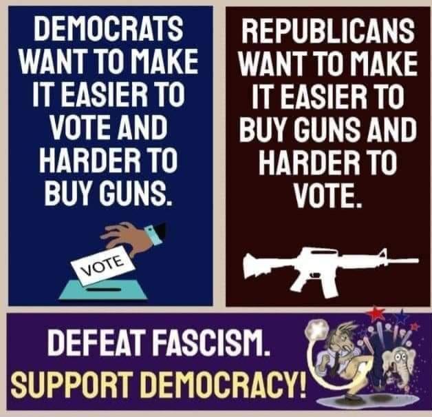 DEMOCRATS R REPUBLICANS WANT TO MAKE WANT TO MAKE ITEASIER TO ITEASIERTO VOTE AND BUY GUNS AND HARDER TO HARDER TO BUY GUNS DEFEAT FASCISM SUPPORT DEMOCRACY 70