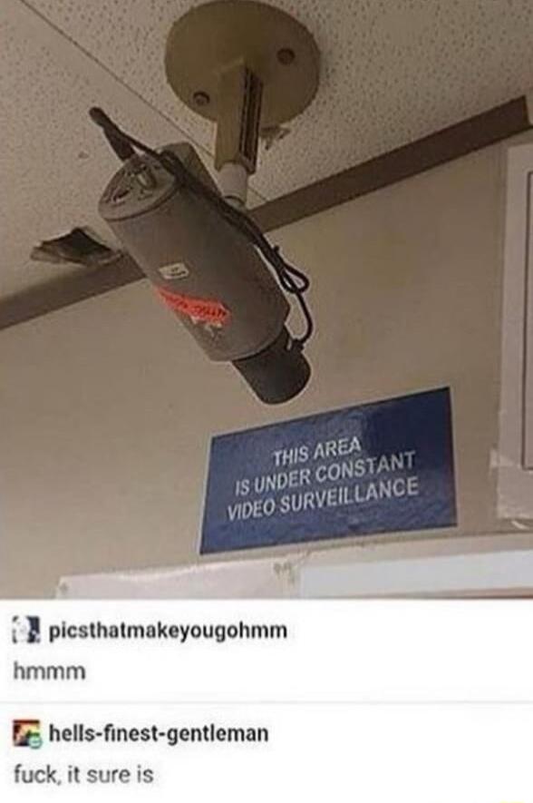 1 B picsthatmakeyougohmm hmmm EE hells finest gentleman fuck it sure is