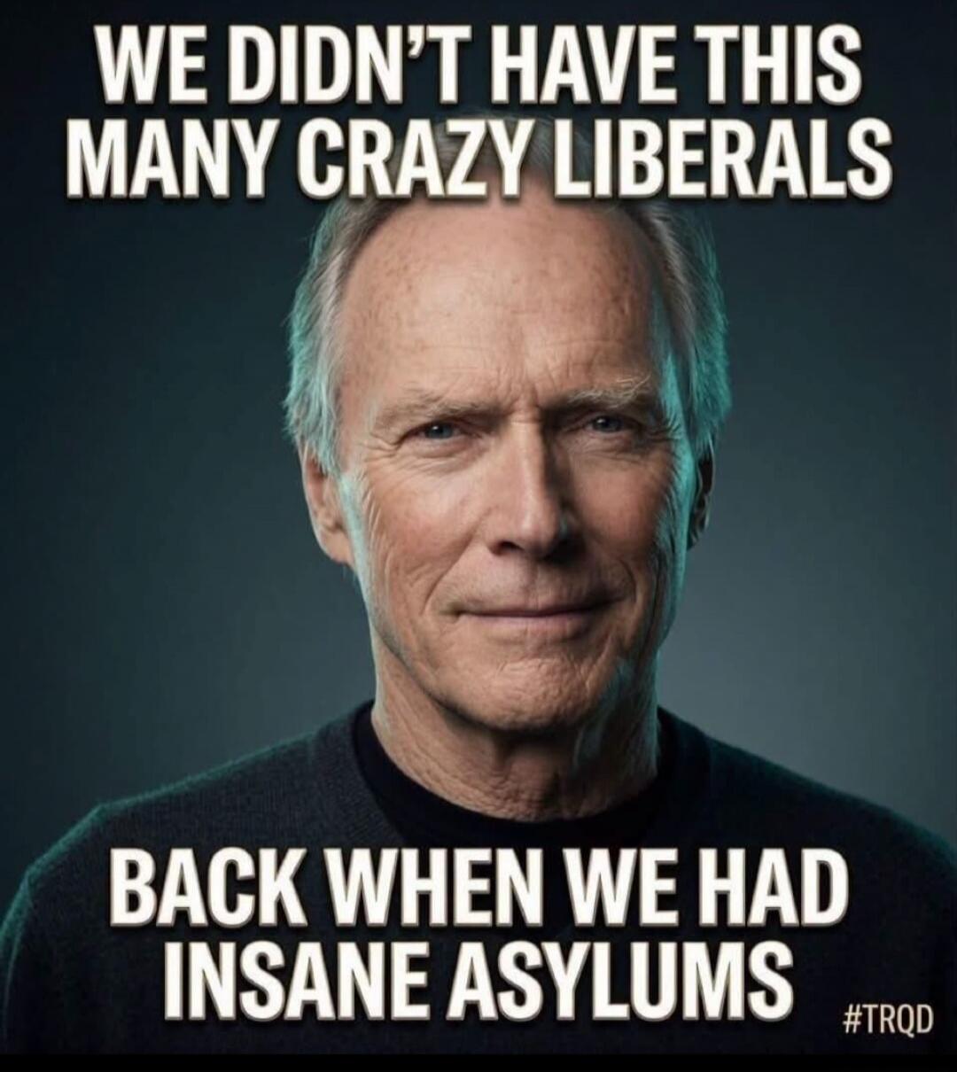 WE DIDN'T HAVE THIS MANY CRAZY LIBERALS BACK WHEN WE HAD INSANE ASYLUMS
