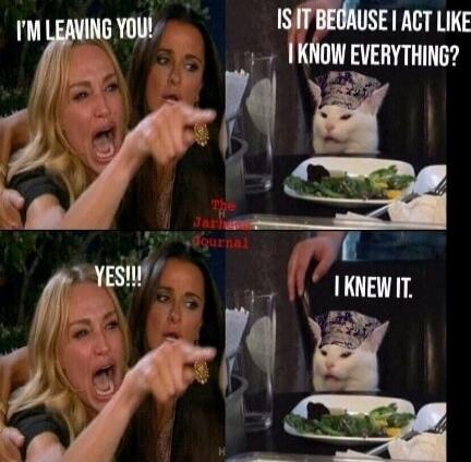 I'M LEAVING YOU! IS IT BECAUSE I ACT LIKE I KNOW EVERYTHING? YES!!! I KNEW IT.