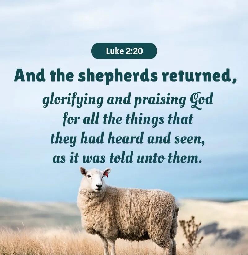 Luke 2:20 And the shepherds returned, glorifying and praising God for all the things that they had heard and seen, as it was told unto them.