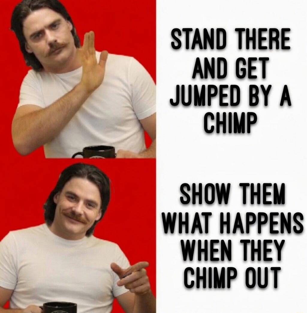 STAND THERE AND GET JUMPED BY A CHIMP. SHOW THEM WHAT HAPPENS WHEN THEY CHIMP OUT.