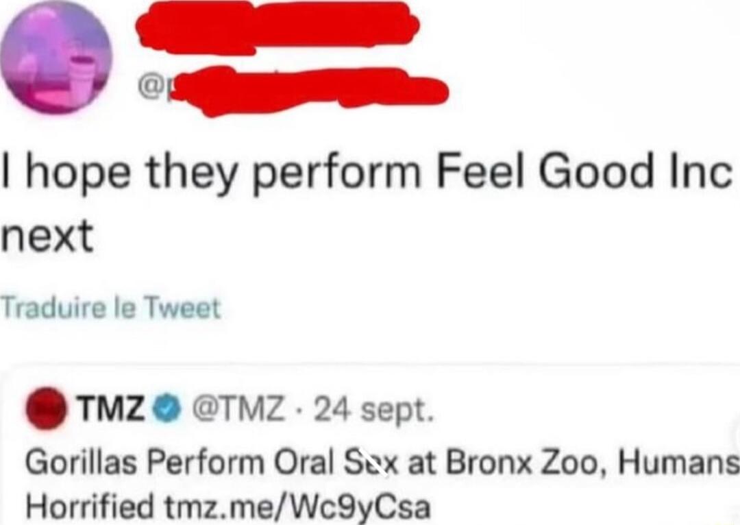eeuy SRS hope they perform Feel Good Inc next Traduire le Tweet TMZ O TVZ 24 sept Gorillas Perform Oral Sex at Bronx Zoo Humans Horrified tmzmeWc9yCsa