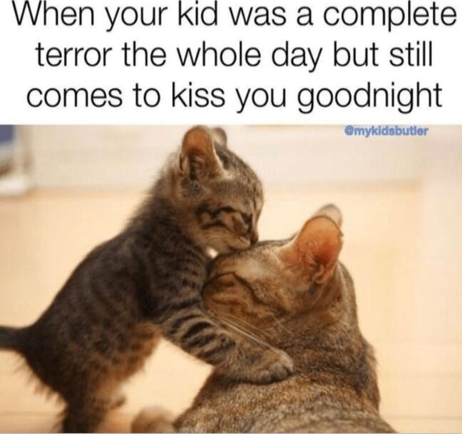 When your Kid was a complete terror the whole day but still comes to kiss you goodnight