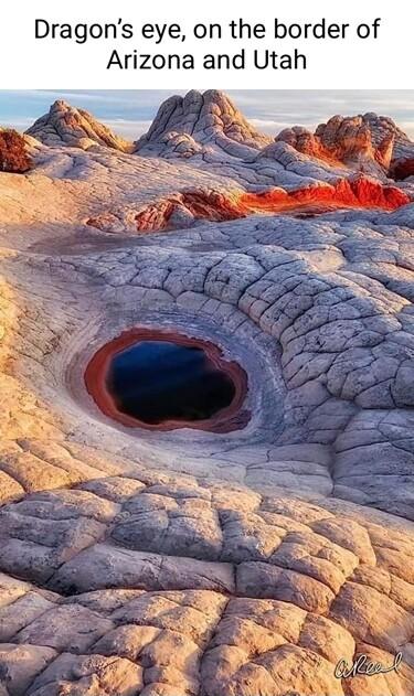 ragons eye on the border of Arizona al