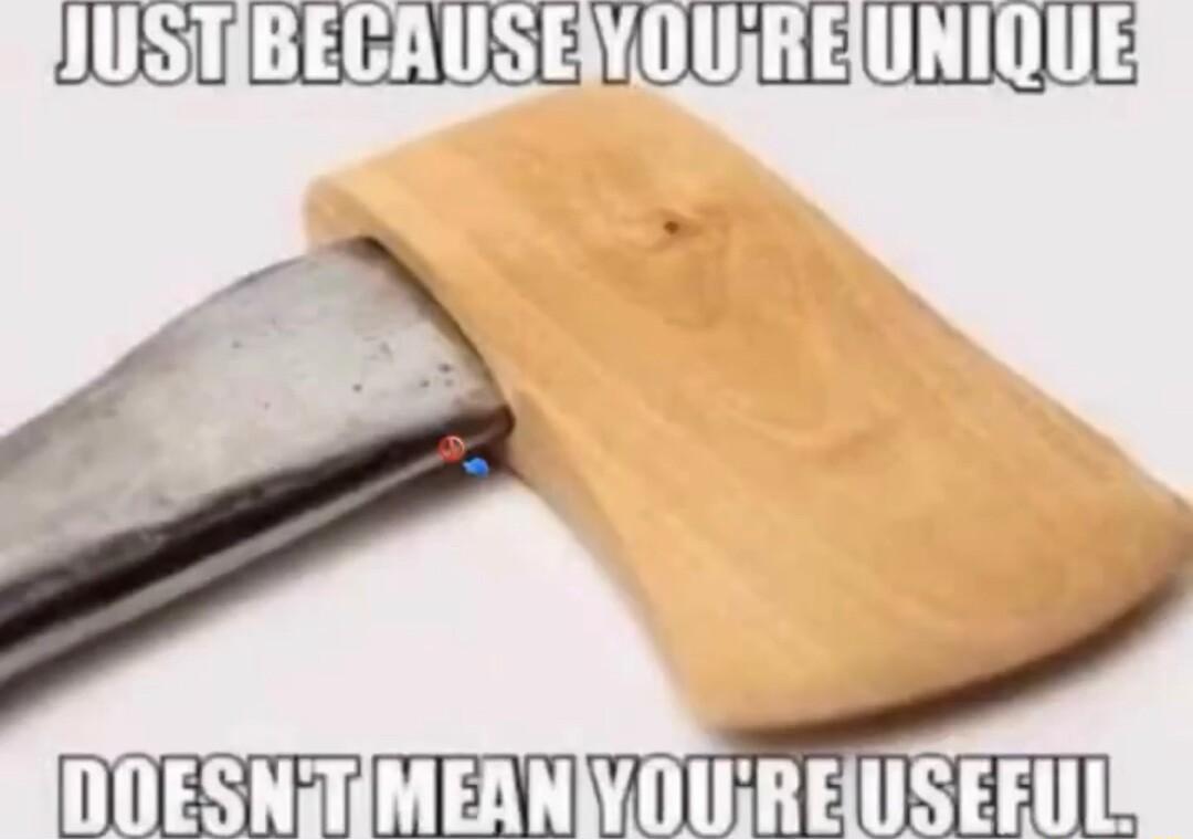 HUSTIBEGAUSENOUREUNIQUES mm