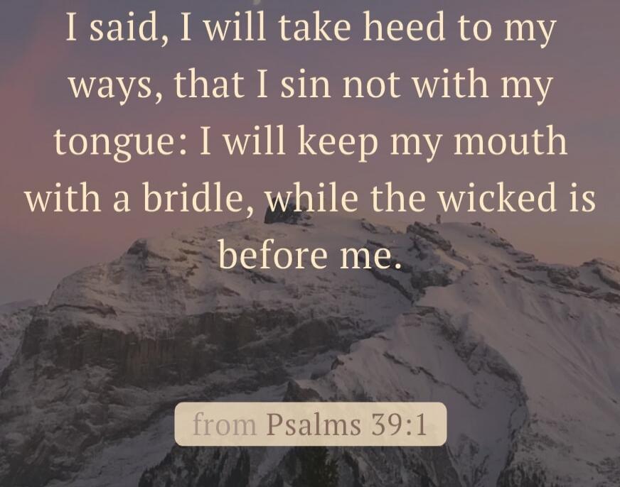 I said, I will take heed to my ways, that I sin not with my tongue: I will keep my mouth with a bridle, while the wicked is before me. from Psalms 39:1