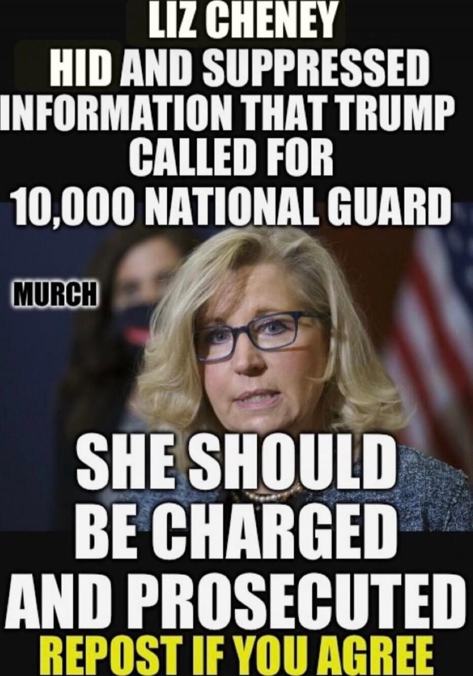 LIZ CHENEY HID AND SUPPRESSED INFORMATION THAT TRUMP CALLED FOR 10,000 NATIONAL GUARD. SHE SHOULD BE CHARGED AND PROSECUTED. REPOST IF YOU AGREE.