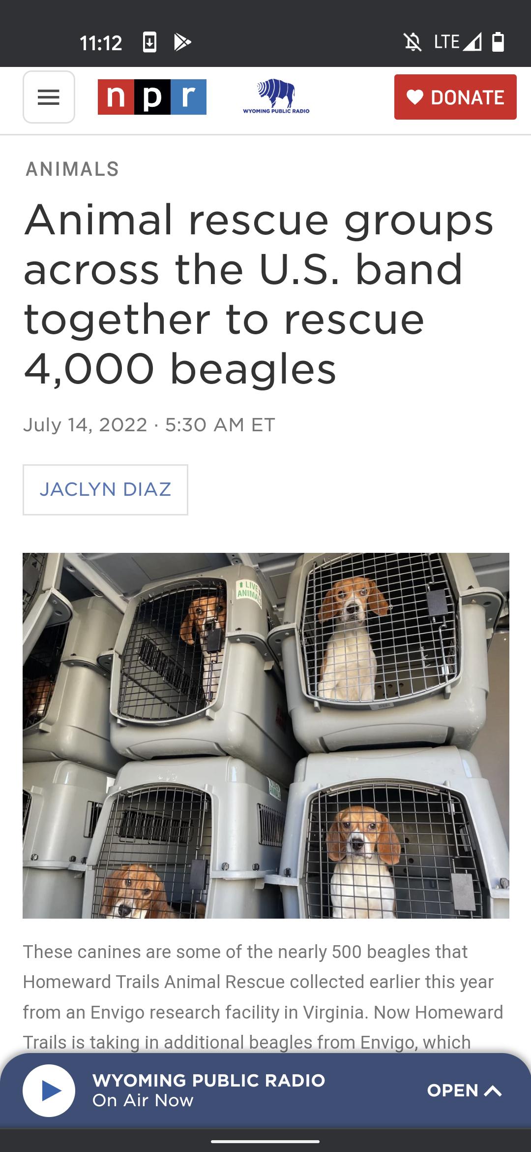 ANIMALS Animal rescue groups across the US band together to rescue 4000 beagles July 14 2022 530 AM ET JACLYN DIAZ from an Envigo research facility in Virginia Now Homeward Trails s taking in additional beagles from Envigo which