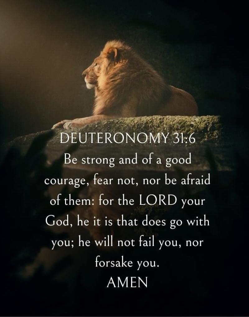 DEUTERONOMY 31:6 Be strong and of a good courage, fear not, nor be afraid of them: for the LORD your God, he it is that does go with you; he will not fail you, nor forsake you. AMEN