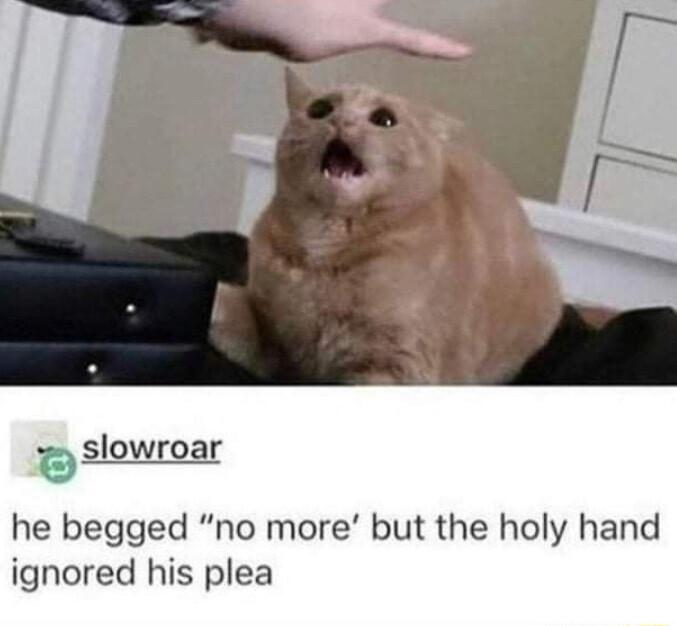 slowroar he begged no more but the holy hand ignored his plea