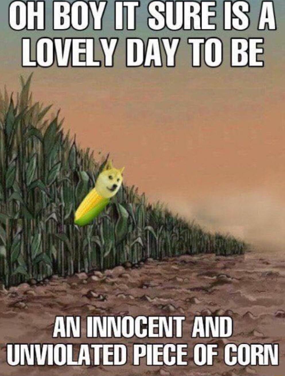 OHIBOYITSUREISA LOVELY DAY TOBE ANINNOCENT AND UNVIOLATED PIECE OF CORN