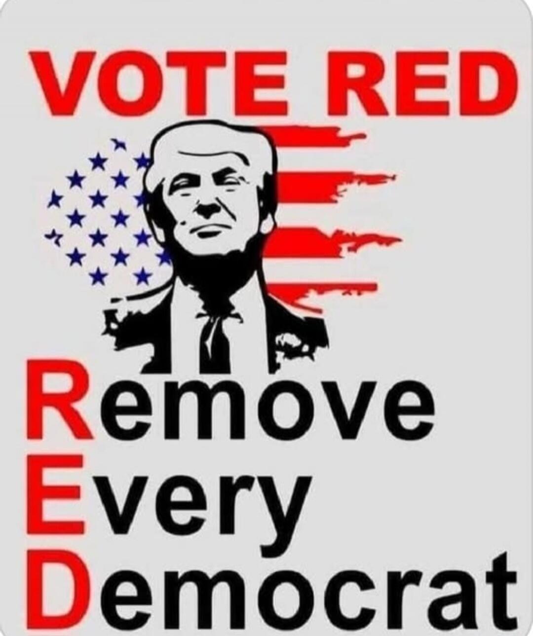 VOTE RED Remove Every Democrat