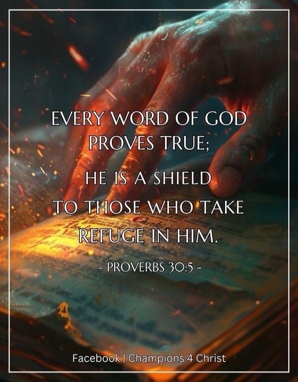 EVERY WORD OF GOD PROVES TRUE; HE IS A SHIELD TO THOSE WHO TAKE REFUGE IN HIM. - PROVERBS 30:5 - Facebook | Champions 4 Christ