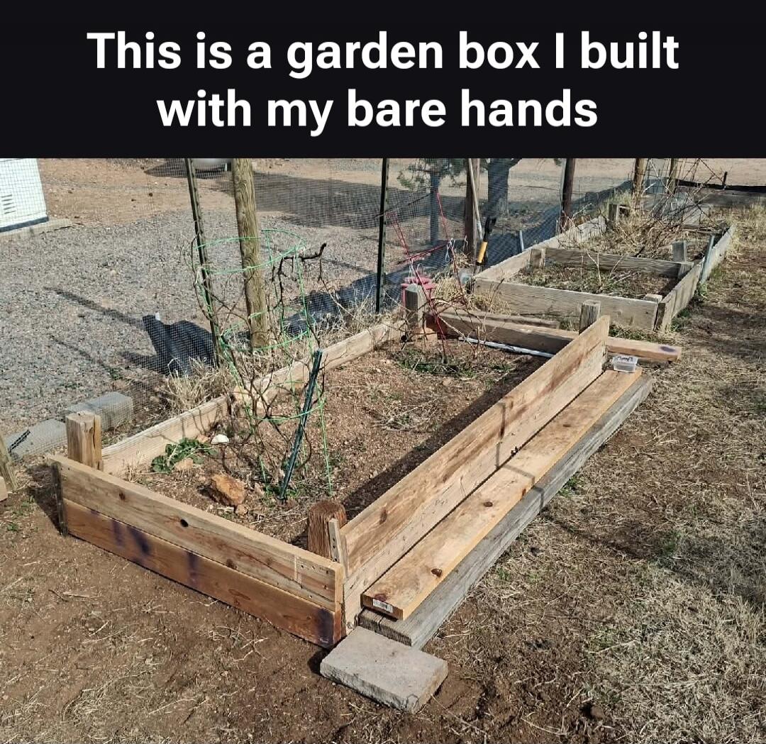 This is a garden box I built with my bare hands