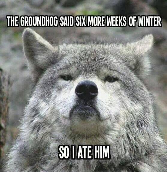 THE GROUNDHOG SAID SIX MORE WEEKS OF WINTER SO I ATE HIM