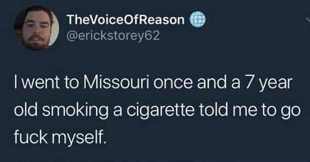 erickstorey62 g TheVoiceOfReason NEa el VIESeIUiRelalelK Tale F WAVCEg old smoking a cigarette told me to go fuck myself