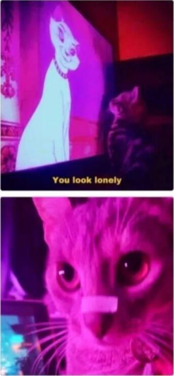 oooooooooooo