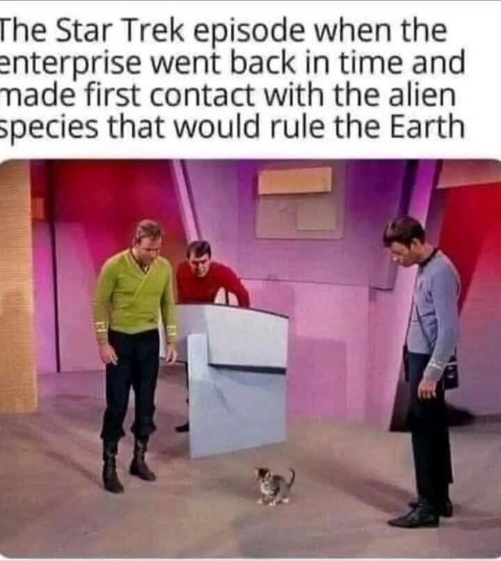 The Star Trek episode when the enterprise went back in time and made first contact with the alien species that would rule the Earth