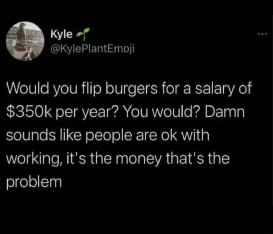 SCxed KylePlantEmoji Would you flip burgers for a salary of 350k per year You would Damn sounds like people are ok with working its the money thats the problem
