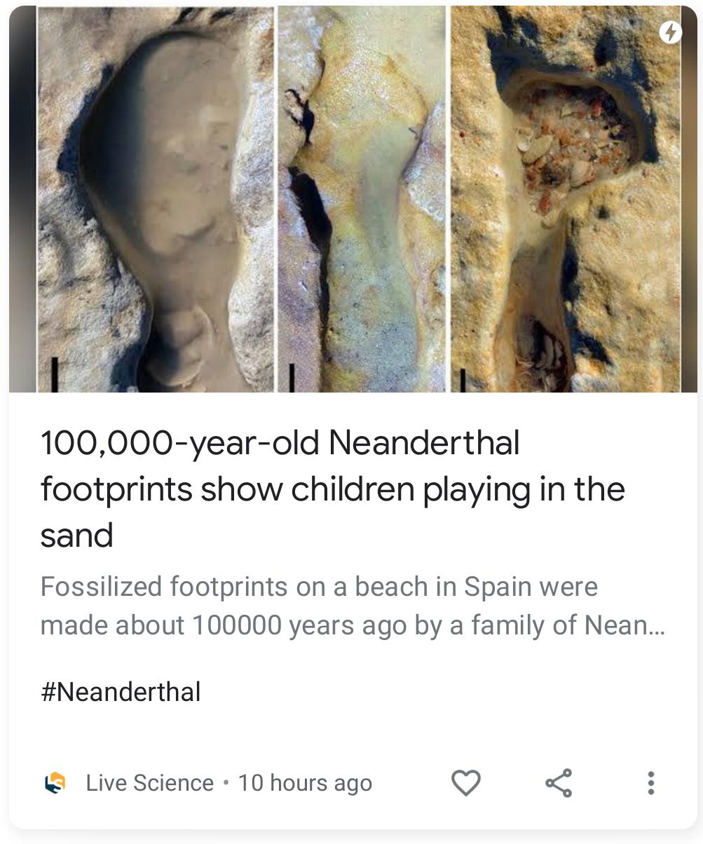 100000 year old Neanderthal footprints show children playing in the sand Fossilized footprints on a beach in Spain were made about 100000 years ago by a family of Nean Neanderthal Live Science 10 hours ago Q o
