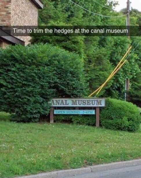 e Time to trim the hedges at lhe canal museum