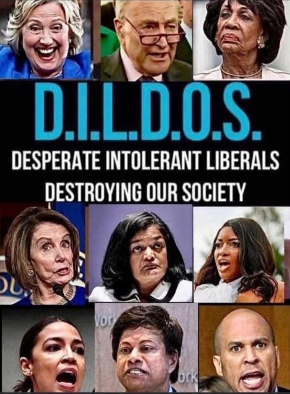 D.I.L.D.O.S. DESPERATE INTOLERANT LIBERALS DESTROYING OUR SOCIETY