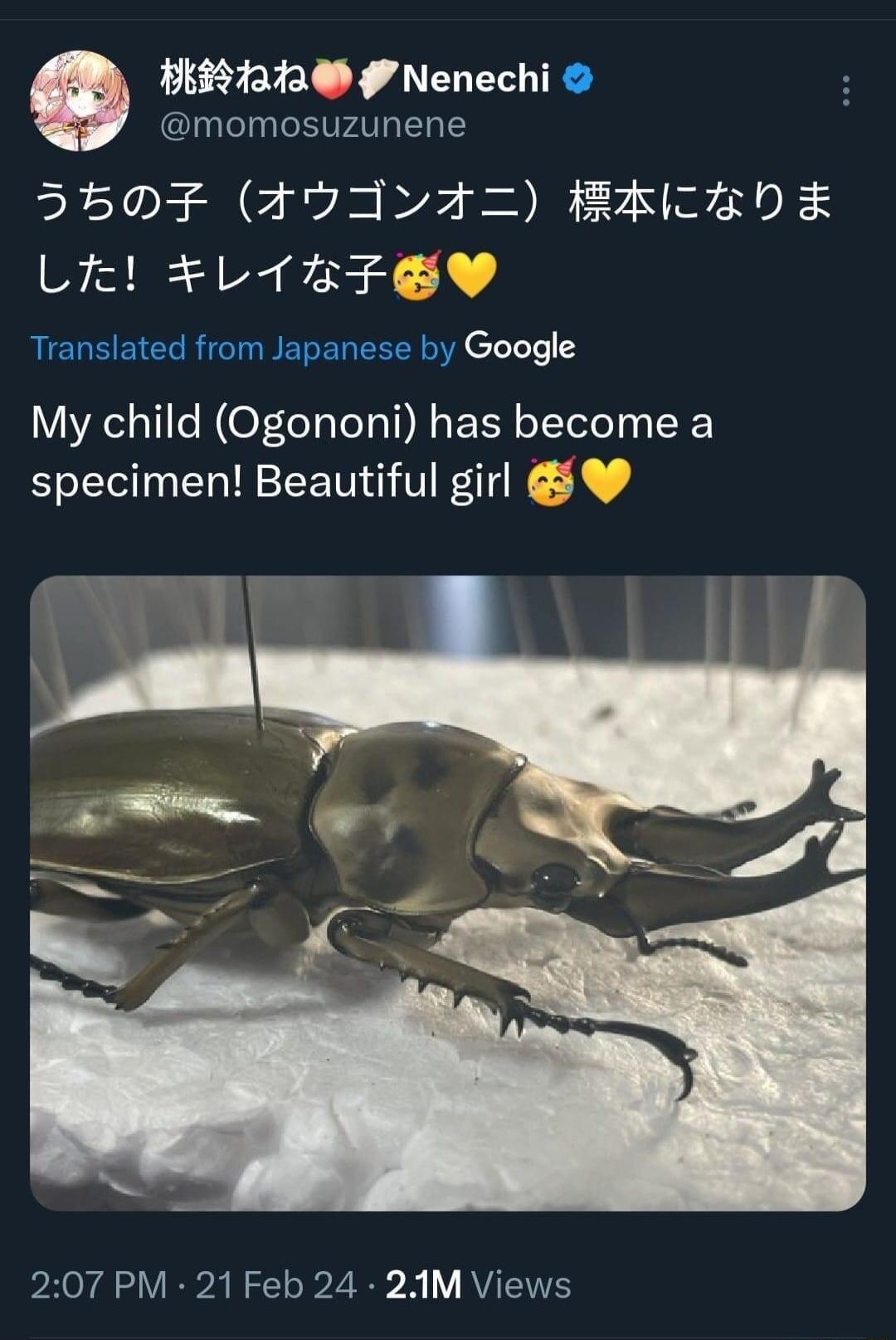 1128 Nenechi momosuzunene SBEDF AvdA4Z EHICHDF LE L1ETFEY RIEUEETCERT NEREN R L1 T My child Ogononi has become a specimen Beautiful girl 5 PR EVARTE LA AENS