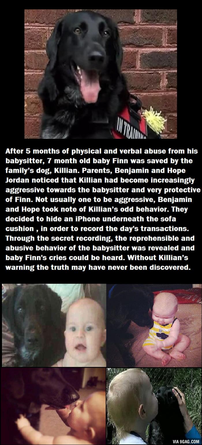Y After 5 months of physical and verbal abuse from his LELNE G A ORI G ET AL LR YE VL B R T LE DG DA CTET M E T CU LGB TET T L D O 1 Jordan noticed that Killian had become increasingly EFfCELNER VEI G ER G TR B E e L DR 8 0 e T of Finn Not usually one to be aggressive Benjamin ELCHG RGO N CRO R OIELER LD ELEV LT A decided to hide an iPhone underneath the sofa cushion in order to record the days tr