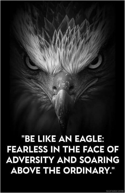 BE LIKE AN EAGLE: FEARLESS IN THE FACE OF ADVERSITY AND SOARING ABOVE THE ORDINARY. BALD EAGLE LOVER