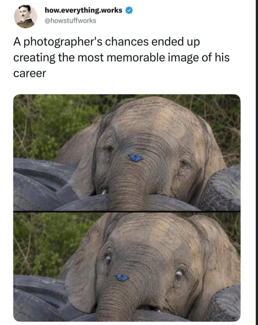 how.everything.works @howstuffworks A photographer's chances ended up creating the most memorable image of his career