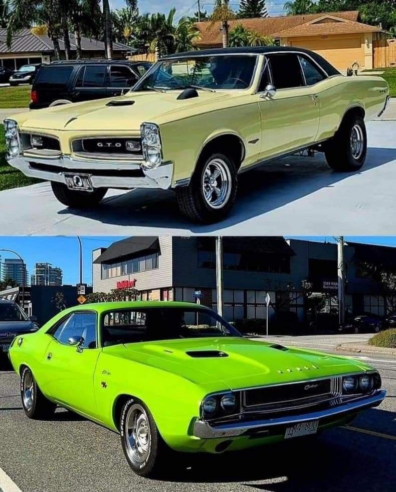 GTO, DODGE, Challenger