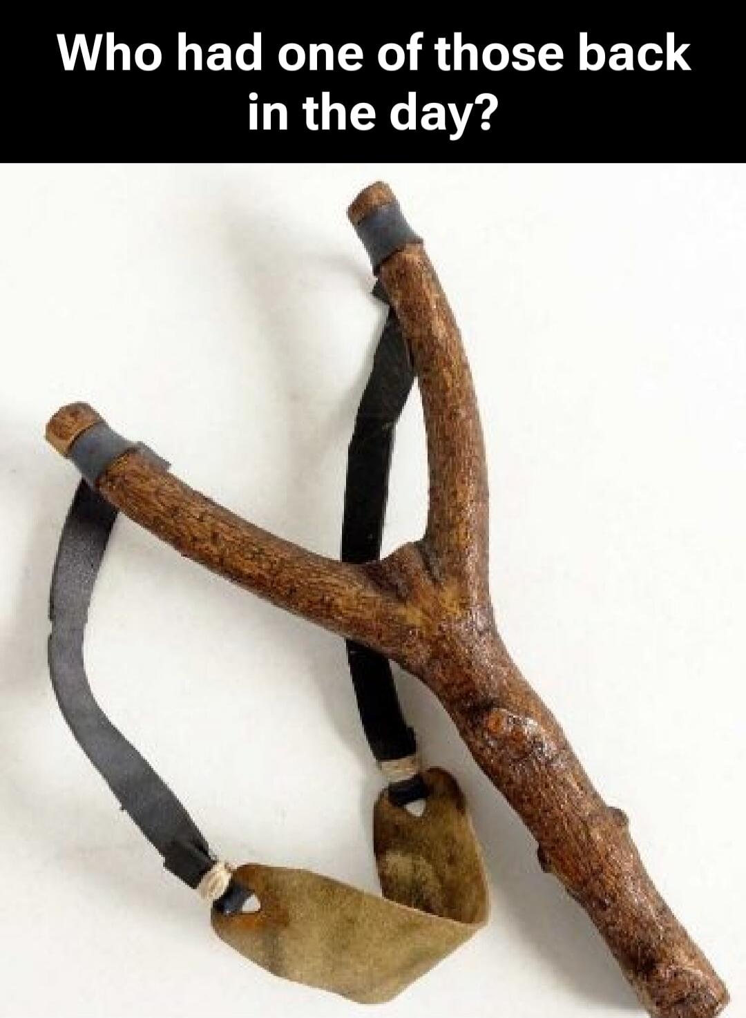 Who had one of those back in the day? A homemade slingshot made from a tree branch and rubber bands.