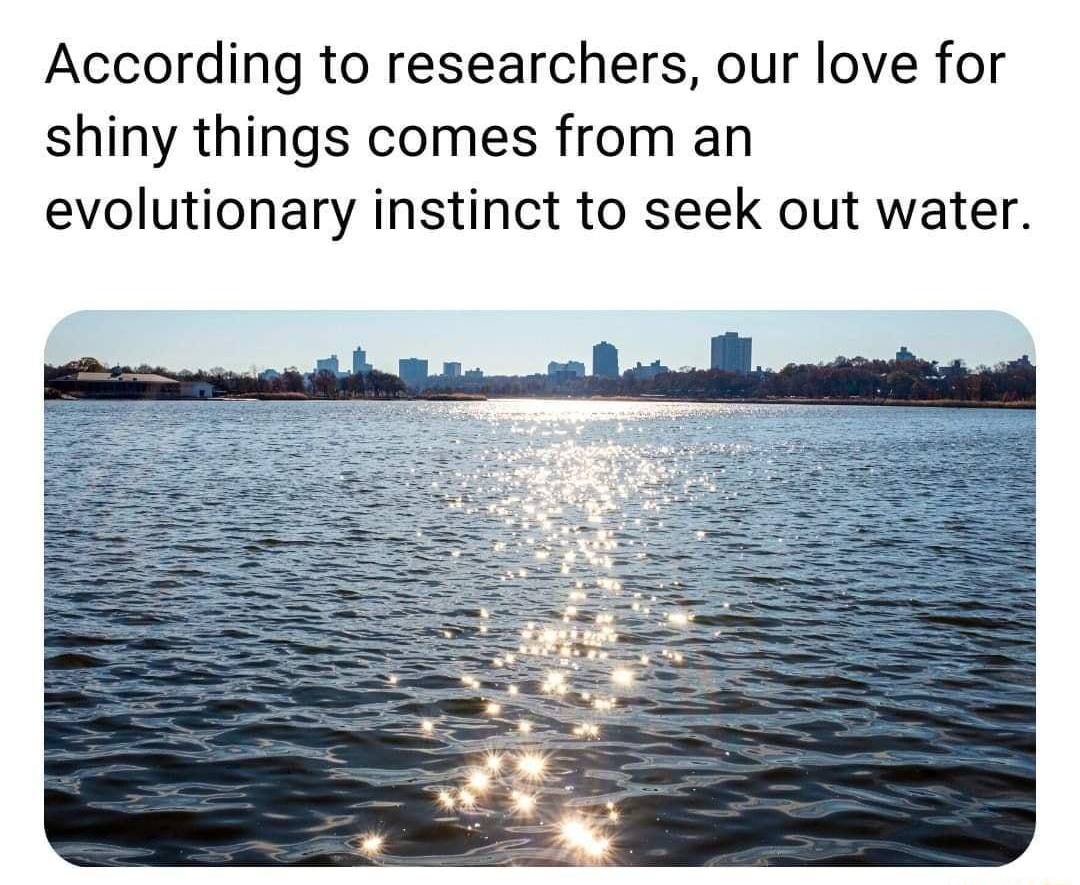 FACTS by Gt According to researchers our love for shiny things comes from an evolutionary instinct to seek out water