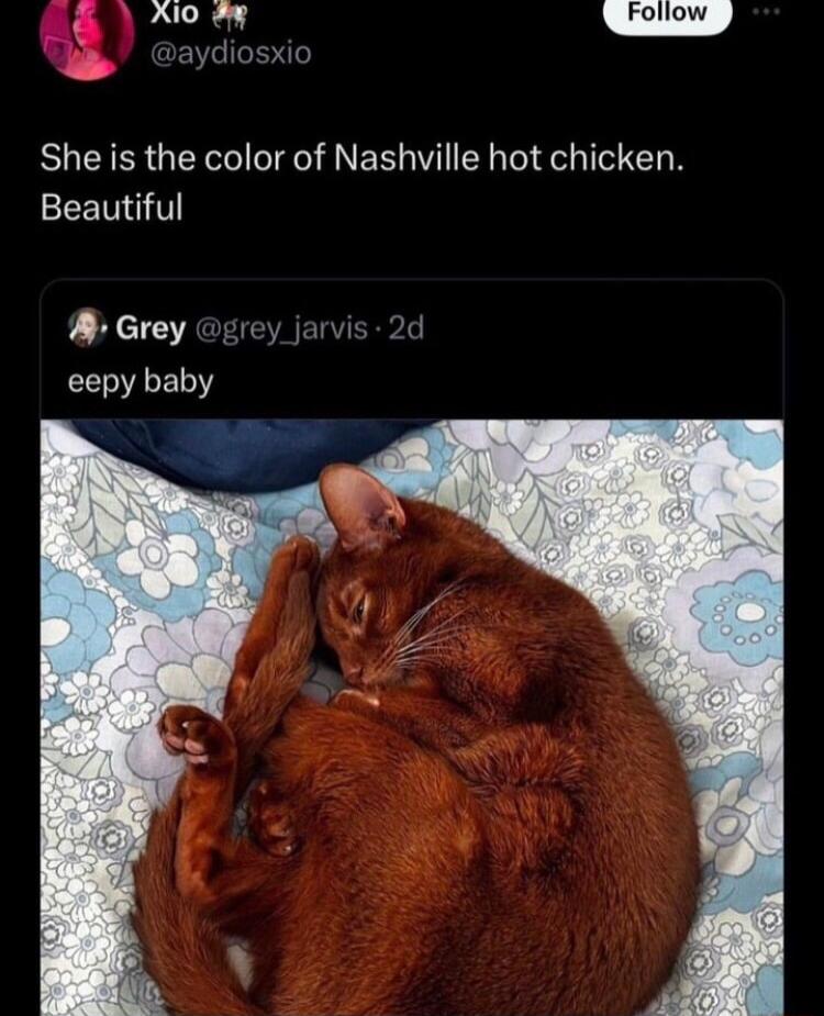 She is the color of Nashville hot chicken Beautiful A Grey grey CESEL