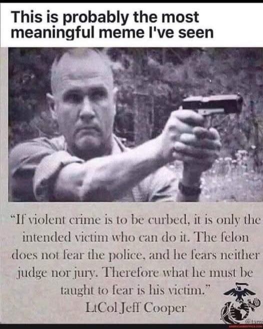 This is probably the most meaningful meme I've seen. If violent crime is to be curbed, it is only the intended victim who can do it. The felon does not fear the police, and he fears neither judge nor jury. Therefore what he must be taught to fear is his victim. LtCol Jeff Cooper.
