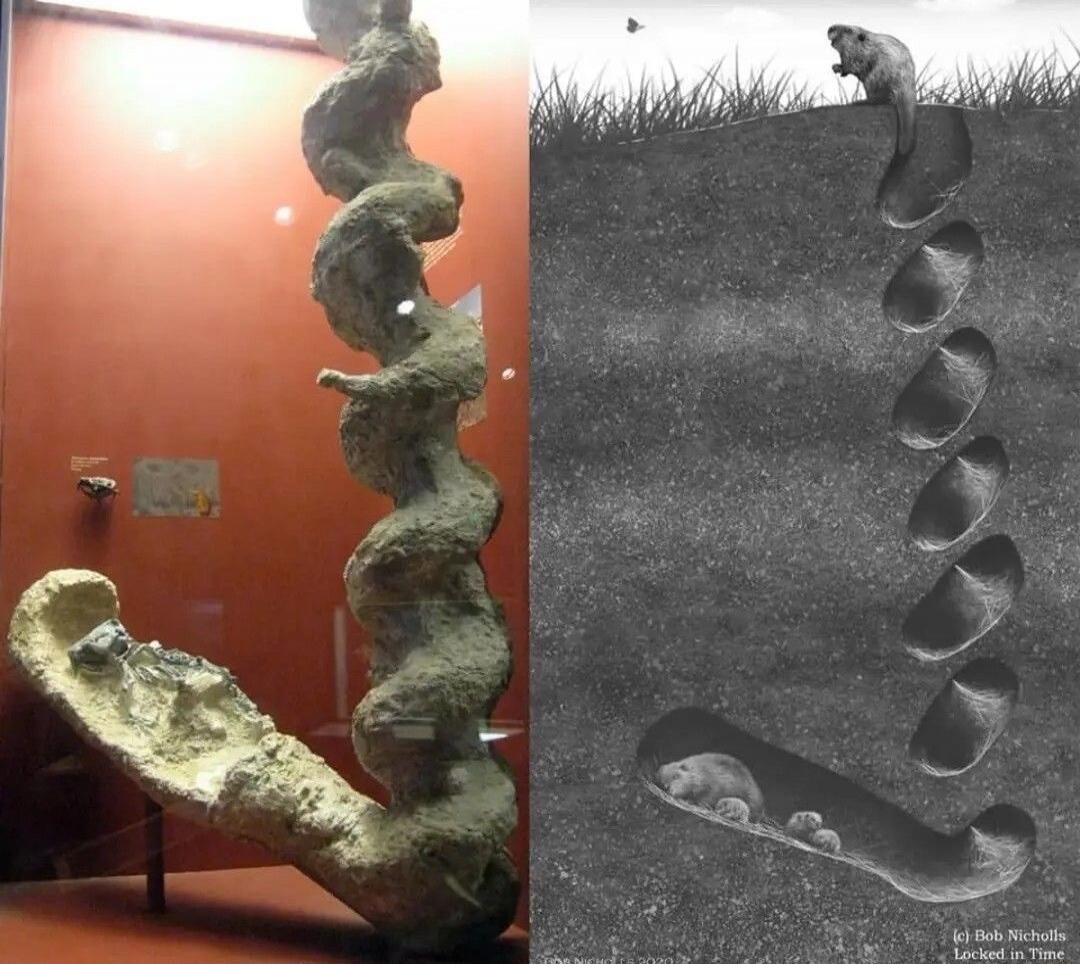 (c) Bob Nicholls Locked in Time