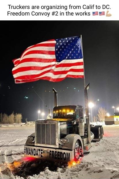 Truckers are organizing from Calif Freedom Convoy 2 in the works