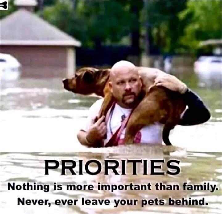 PRIORITIES
Nothing is more important than family. Never, ever leave your pets behind.
