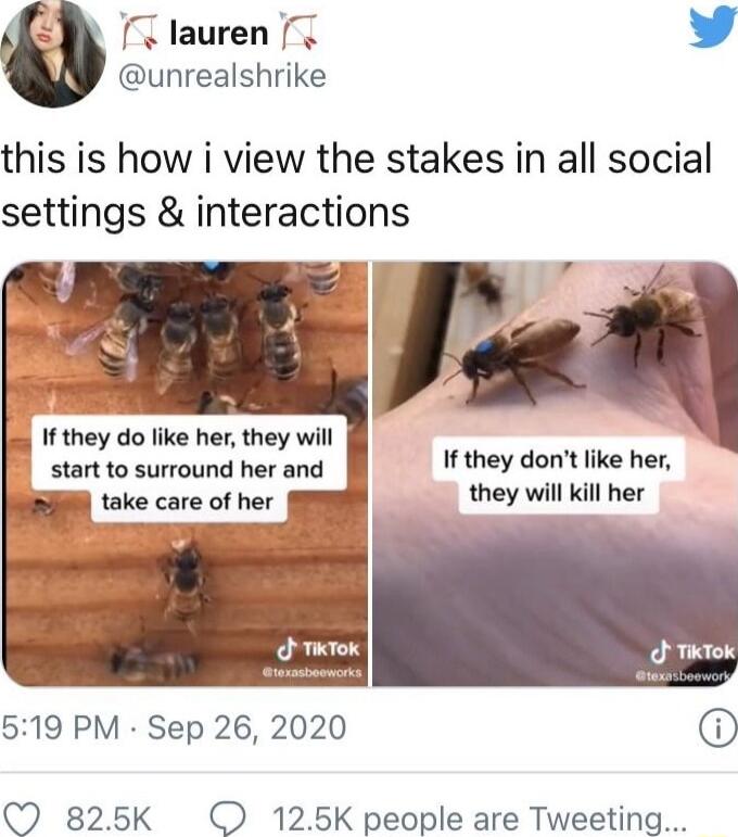 lauren Y unrealshrike this is how i view the stakes in all social settings interactions If they dont like her take care of her they will kill her e 519 PM Sep 26 2020 Q 825K O 125K people are Tweeting