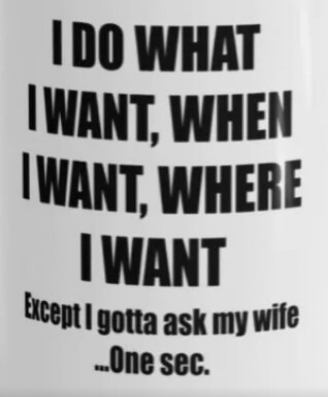 I DO WHAT I WANT, WHEN I WANT, WHERE I WANT Except I gotta ask my wife ...One sec.