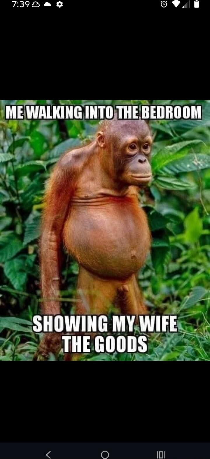 ME WALKING INTO THE BEDROOM
SHOWING MY WIFE THE GOODS