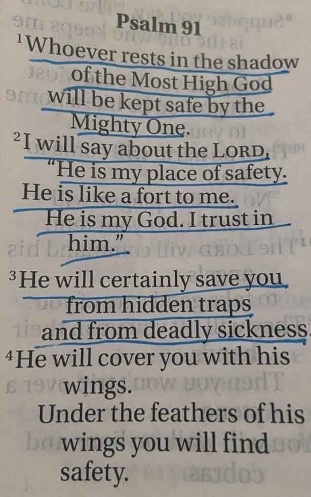 Psalm 91. Whoever rests in the shadow of the Most High God will be kept safe by the Mighty One. I will say about the LORD, 