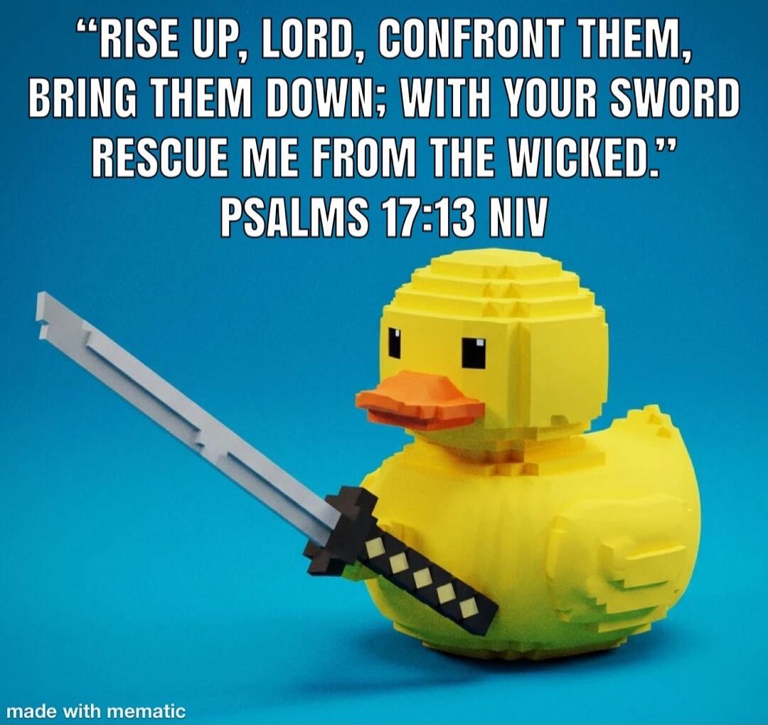 RISE UP, LORD, CONFRONT THEM, BRING THEM DOWN; WITH YOUR SWORD RESCUE ME FROM THE WICKED. PSALMS 17:13 NIV