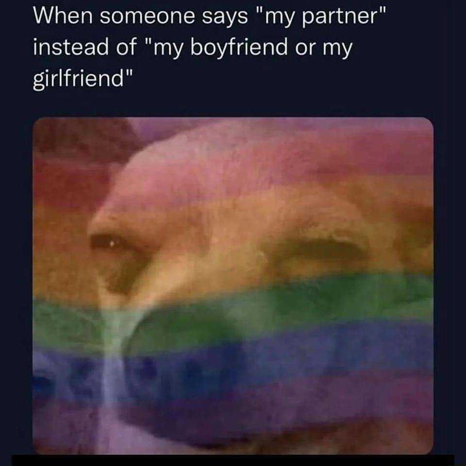 When someone says my partner instead of my boyfriend or my girlfriend