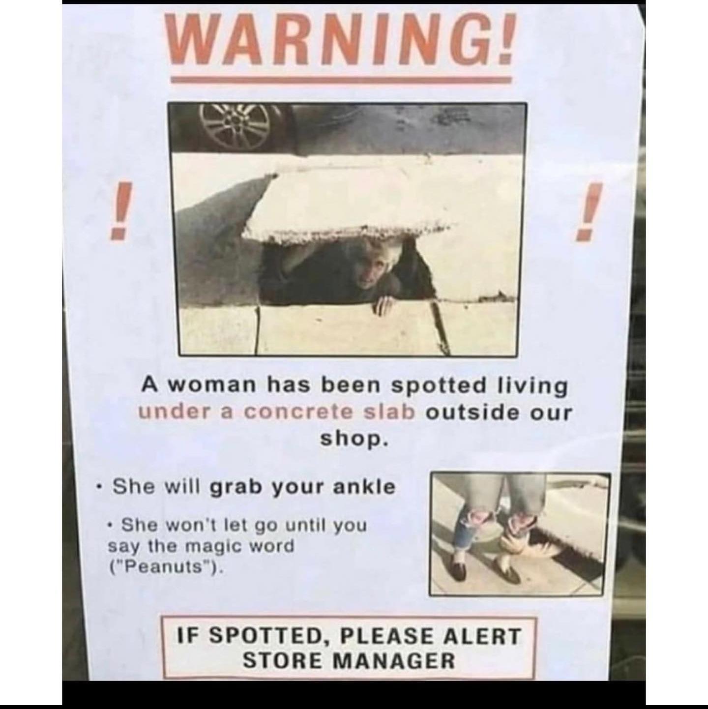 WARNING A woman has been spotted living under a concrete slab outside our shop She will grab your ankle She wont let go until you say the magic word Peanuts IF SPOTTED PLEASE ALERT STORE MANAGER