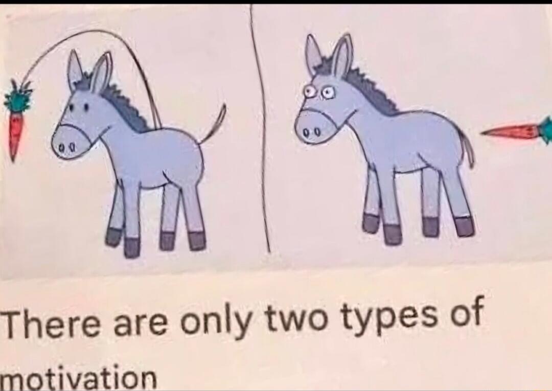 There are only two types of motivation