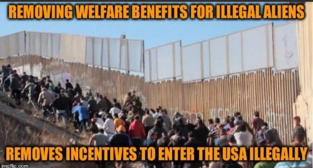 REMOVING WELFARE BENEFITS FOR ILLEGAL ALIENS REMOVES INCENTIVES TO ENTER THE USA ILLEGALLY