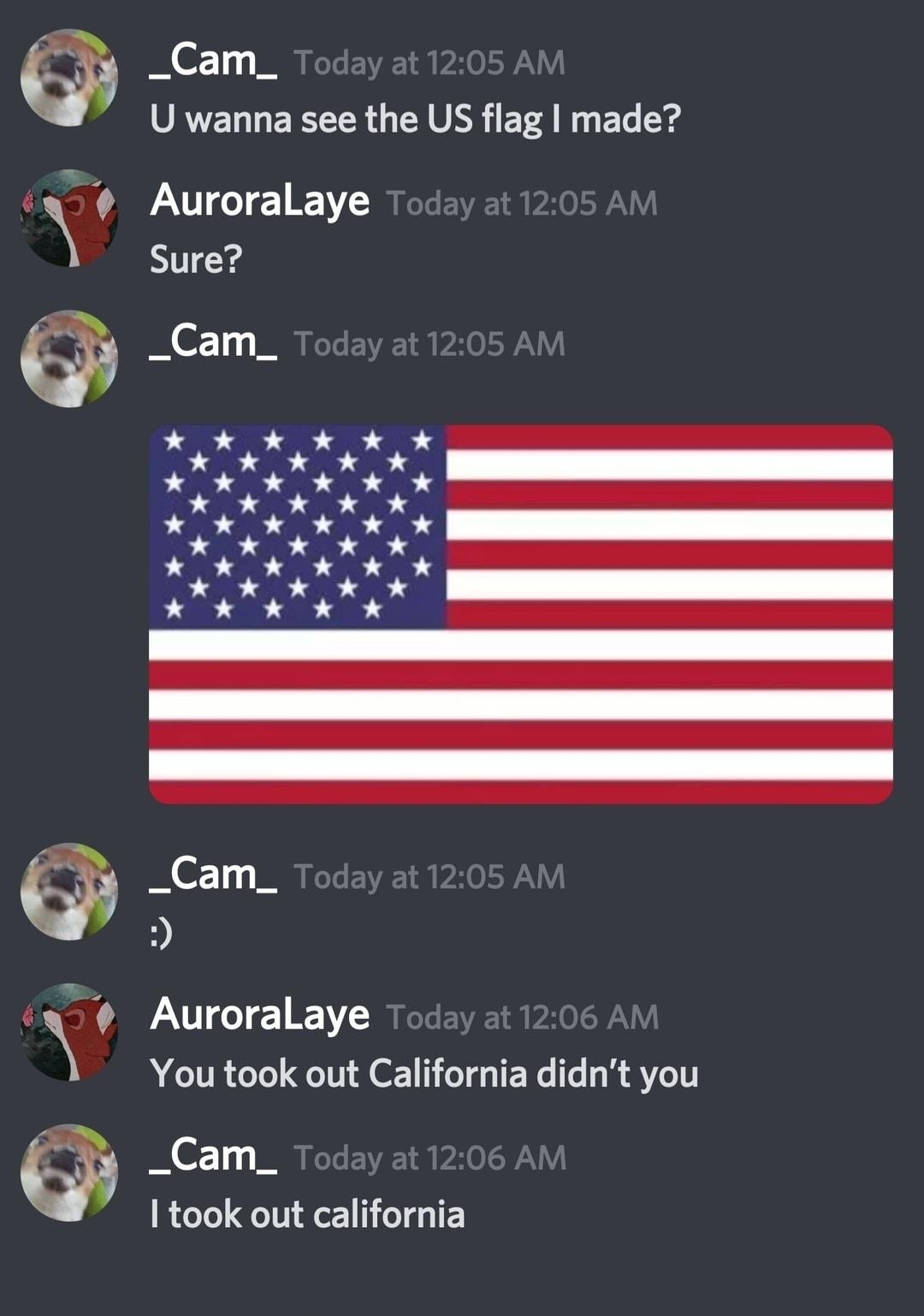 _Cam_ U wanna see the US flag made y AuroralLaye Sure so Auroralaye You took out California didnt you _Cam_ took out california